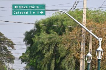 TRÂNSITO