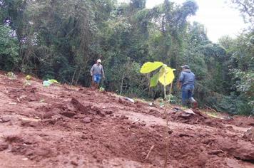 Seisuma realiza plantio de mudas em área rural de Sabáudia
