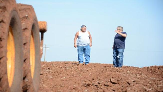 Começa cascalhamento de estrada rural em Sabáudia